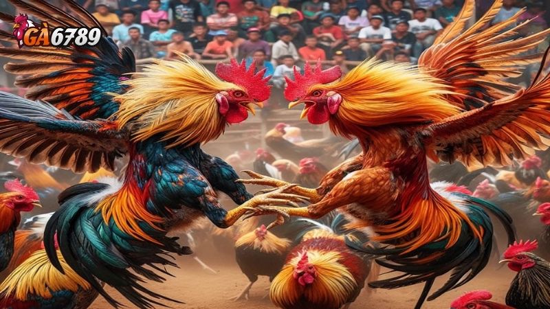 Đăng ký Ga6789: Hướng dẫn tạo tài khoản chi tiết A-Z 2 Đăng ký Ga6789